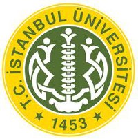 Istanbul Logo